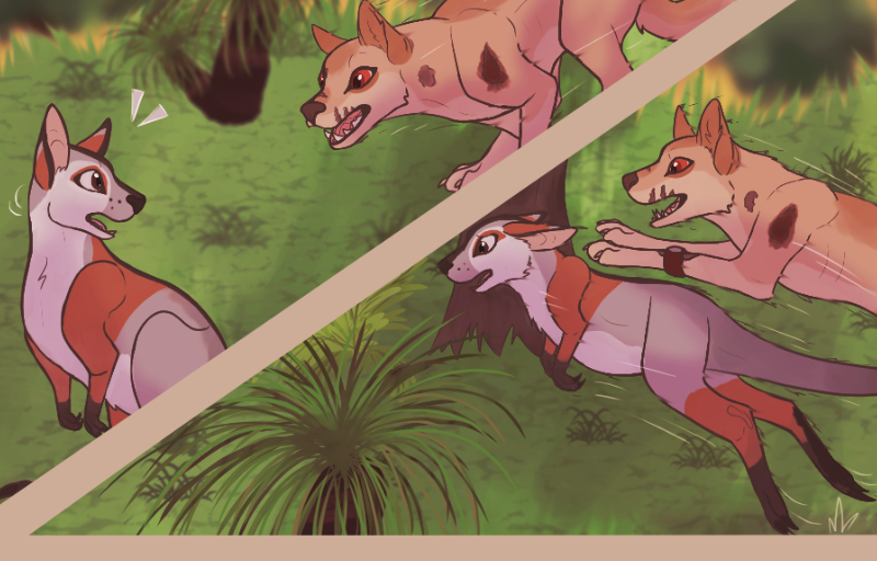 Image 3 Cut